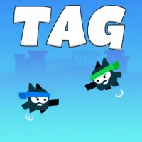 Play Game Tag Game
